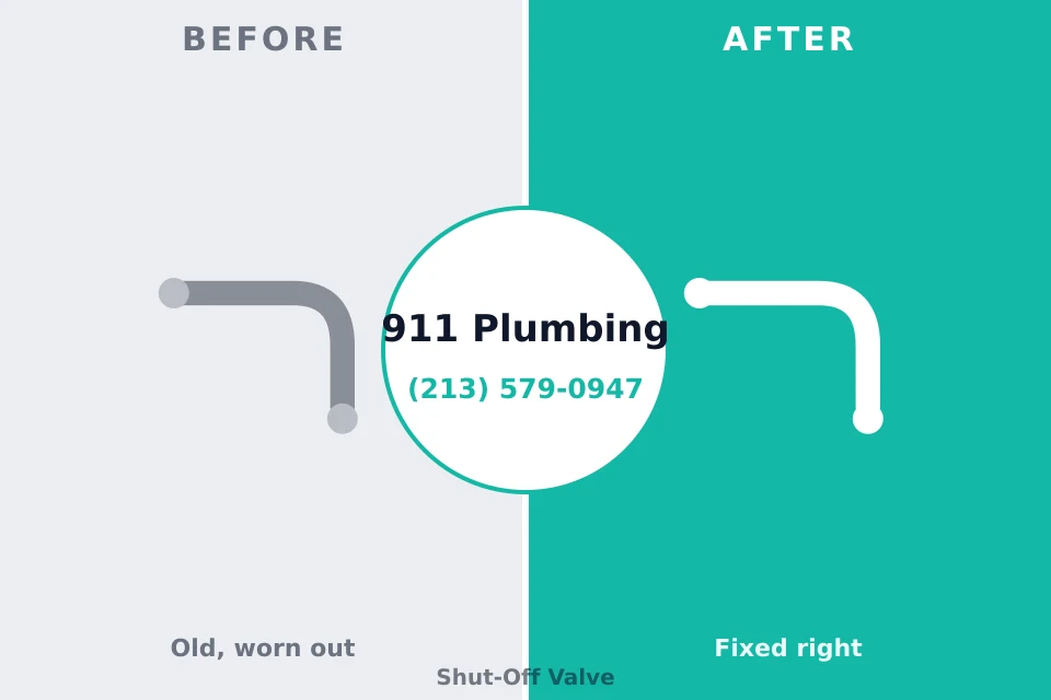 Before and after: plumbing company Millwood, WA